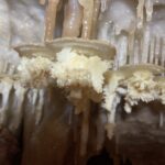 Tesori 2 Le concrezioni cresciute sul pelo dell'acqua