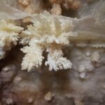 Tesori 3 Le concrezioni cresciute sul pelo dell'acqua